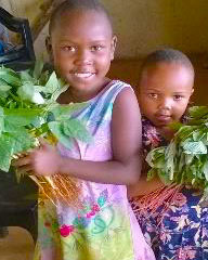 Girls with Sweet Potato Slips for Planting